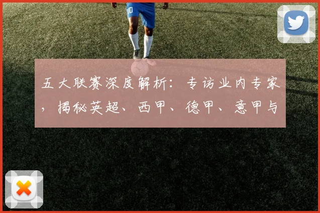 五大联赛深度解析：专访业内专家，揭秘英超、西甲、德甲、意甲与法甲的本质区别